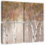 Sunchit Birch I-109146273