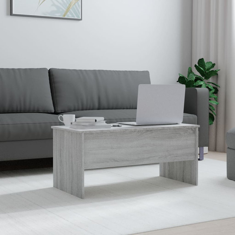 Frame Coffee Table with Storage, Grey