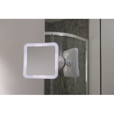 Alliviah Magnifying Bathroom Mirror