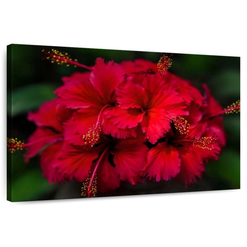 Harnek Thailand Flower