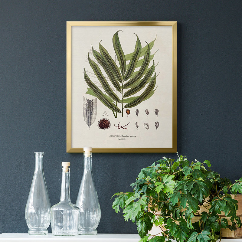 Toile encadrée de qualité supérieure Botanical Society Ferns II - prête à être accrochée, H 24 po x l 20 po, Or