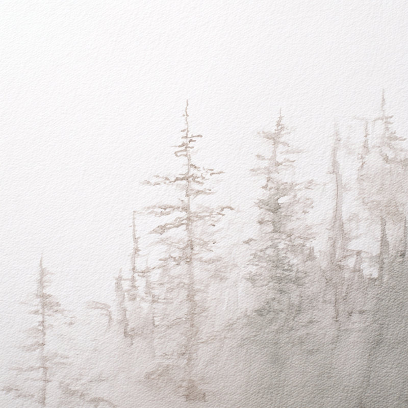 Art mural sur toile Fading Pines, L 40 po x H 40 po x P 1,5 po