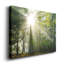 Lumière et arbres II - photographie sur toile tendue-1843473967