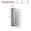 20" W x 32" H Recessed or Surface Mount Frameless Bathroom Mirror Cabinet with 3 Adjustable Shelves-106693588