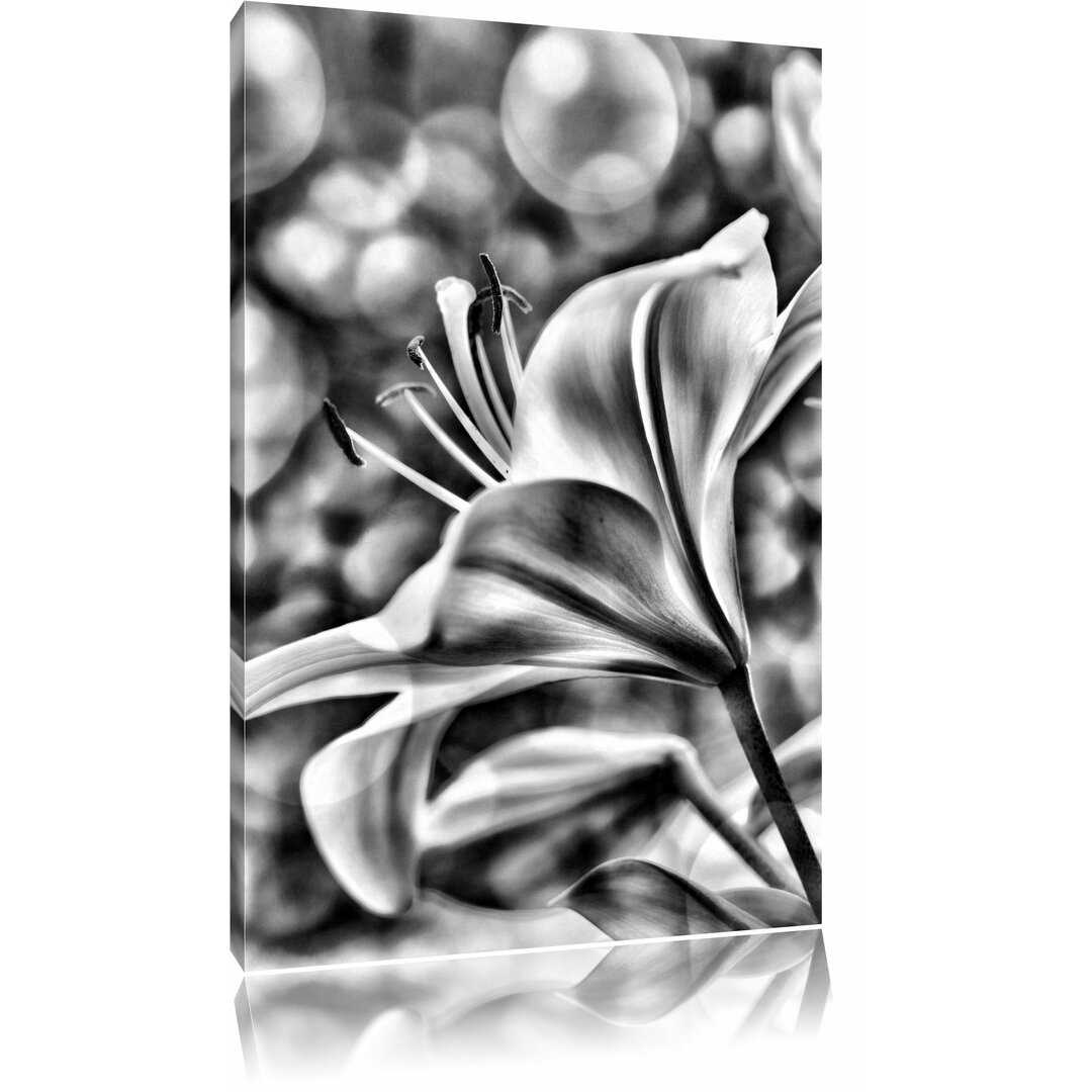 Leinwandbild Wunderschöne Lilien in Monochrom