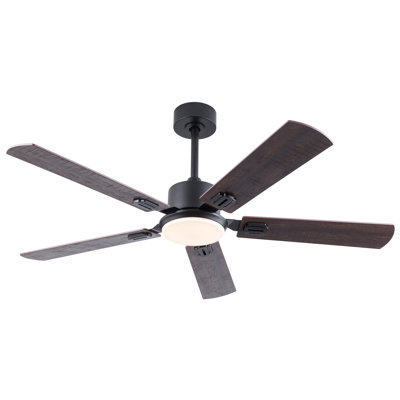 Ventilateurs de plafond noirs de 52 pouces avec lumières et télécommande, ventilateur de plafond moderne intérieur / extérieur pour le patio de la chambre à coucher, moteur à courant continu silencieux réversible à 6 vitesses, 3 tasses, deux pales à finition double