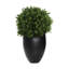Seville Faux Boxwood Topiary in Fiberstone Planter-1622980577