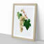 Muscat Grapes by Giorgio Gallesio - Picture Frame Painting Print-55580941-55580944