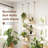 Indoor Hanging Plant Stand