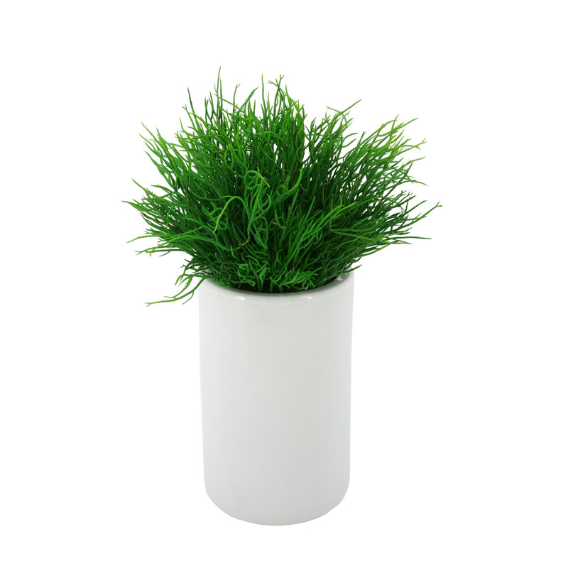 Herbe succulente artificielle de 6,5 po dans un vase décoratif, Blanc