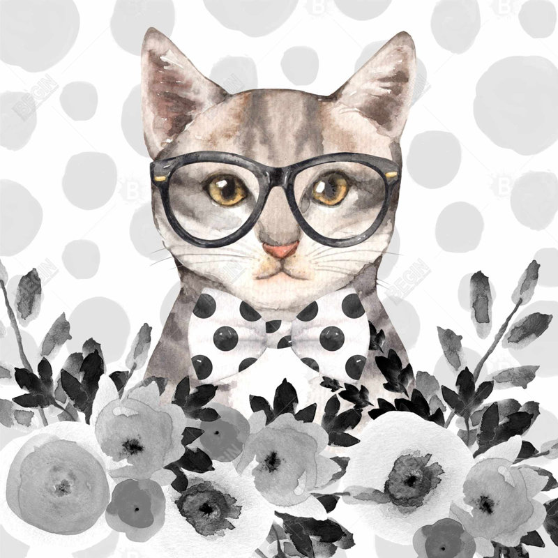 " Geek Cat "