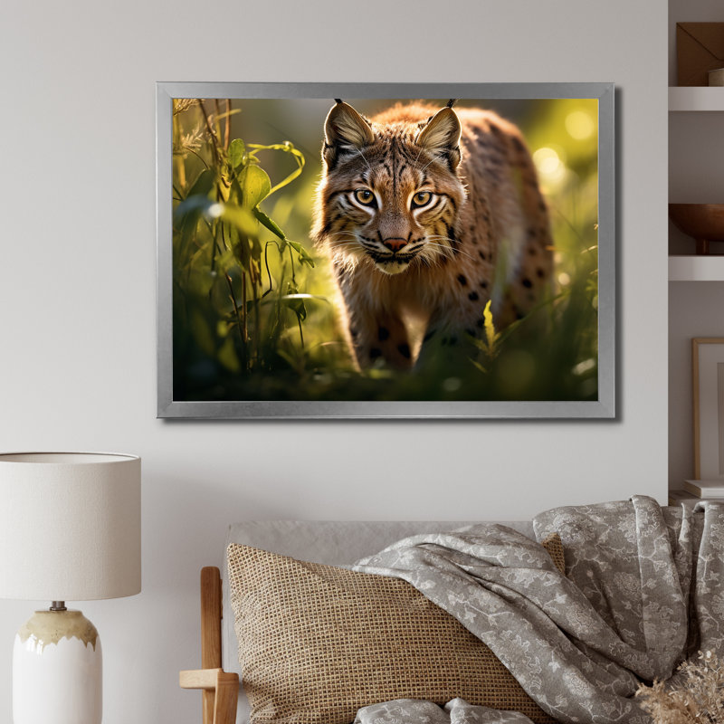 Portrait de lynx brun dans la nature, Cadre photo argenté, H 30 po x l 40 po x P 1,5 po