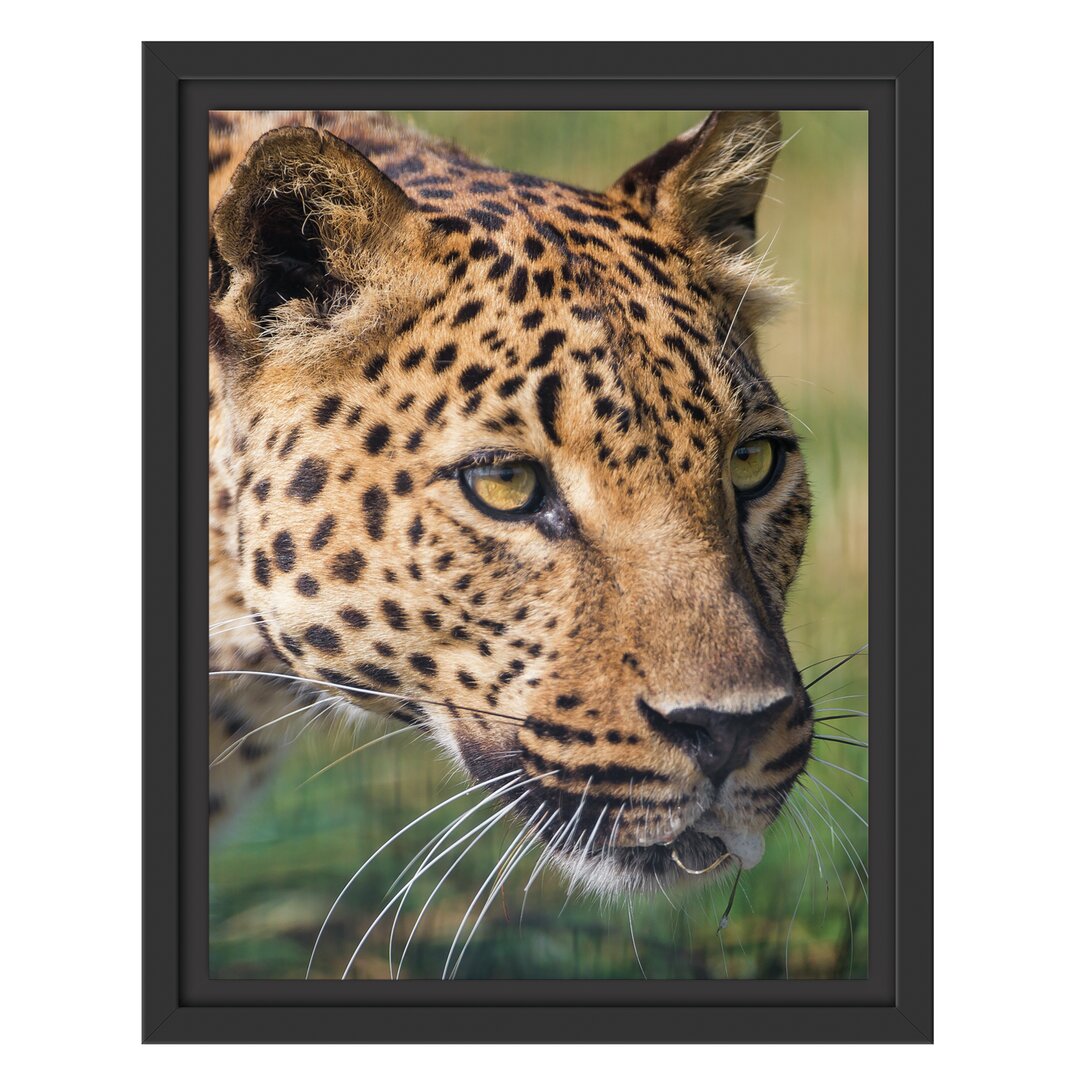 Gerahmtes Wandbild schleichender Leopard