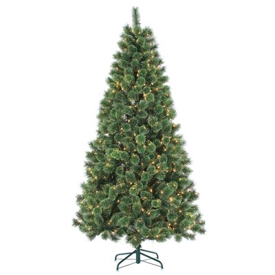 Hard Needle Deluxe Cashmere 7' Green Pine Artificial Christmas Tree with 550 Clear Lights -  The Holiday Aisle®, 49CD16F5E33E43F78C9D6A513A799202