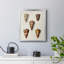 Toile encadrée de qualité supérieure Cone Shell Collection II - prête à être accrochée-853571639-853571638