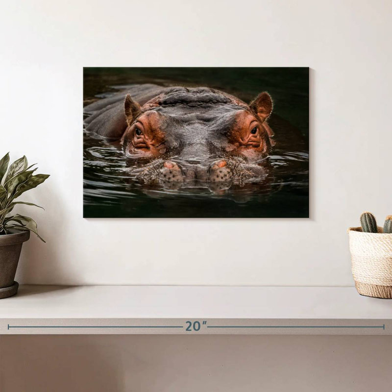 Brampt Submerged Hippo, 8" H x 12" W