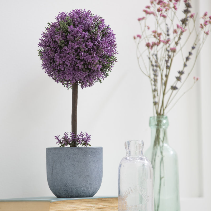 Topiaire en fleurs 12,5 "en pot