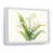 Toile blanche
