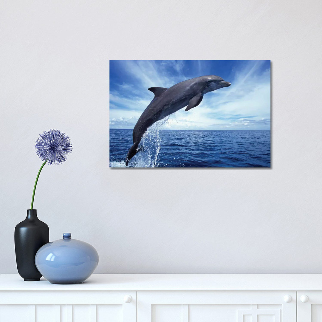 Bottlenose Dolphin In The Caribbean, Off Roatan Island, Honduras II by VWPics - Wrapped Canvas Print