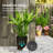 Kise Pot Planter-323524643-322665829