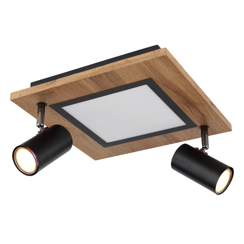 Ayela LED Spotlight