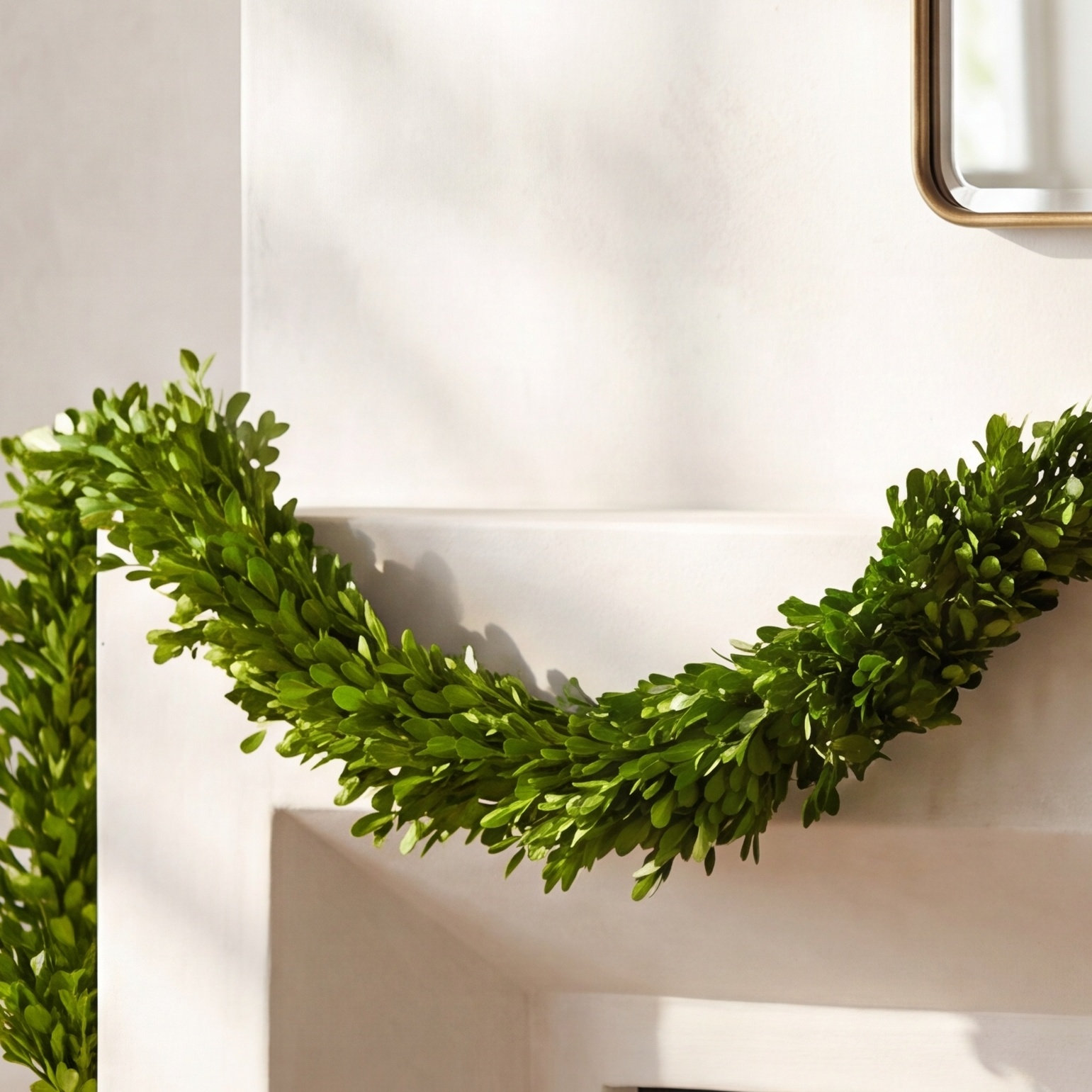 71'' in. Preserved Boxwood Garland