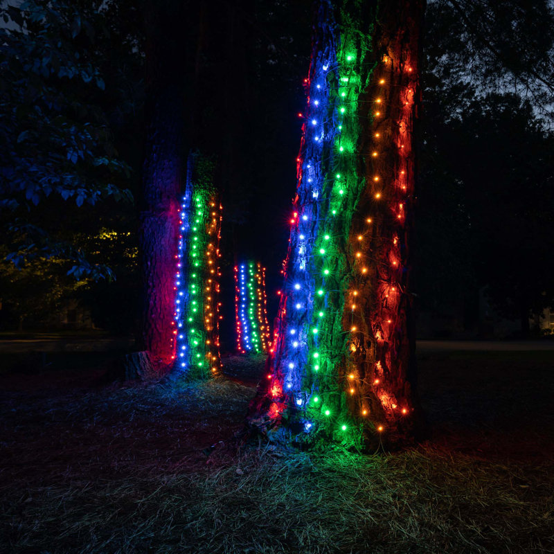 LED Net Lights, Multi
