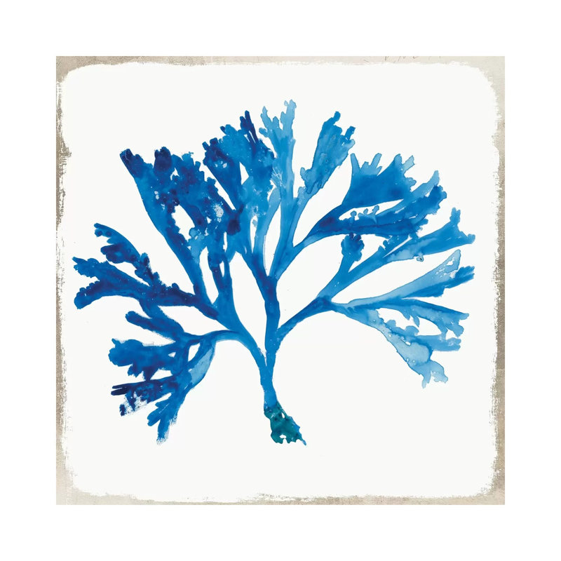 Blue Coral VI by Aimee Wilson - Wrapped Canvas Gallery-Wrapped Canvas Giclée, 30.48 cm H x 30.48 cm W
