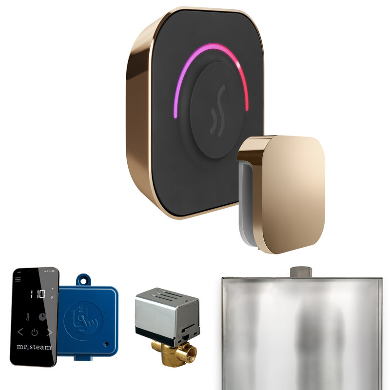 Ensemble de commande de douche à vapeur ButlerTouch avec contrôle TempoTouch et tête de vapeur i, Or poli