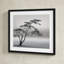 Tree Silhouette by Piet Flour-37872055-37872062