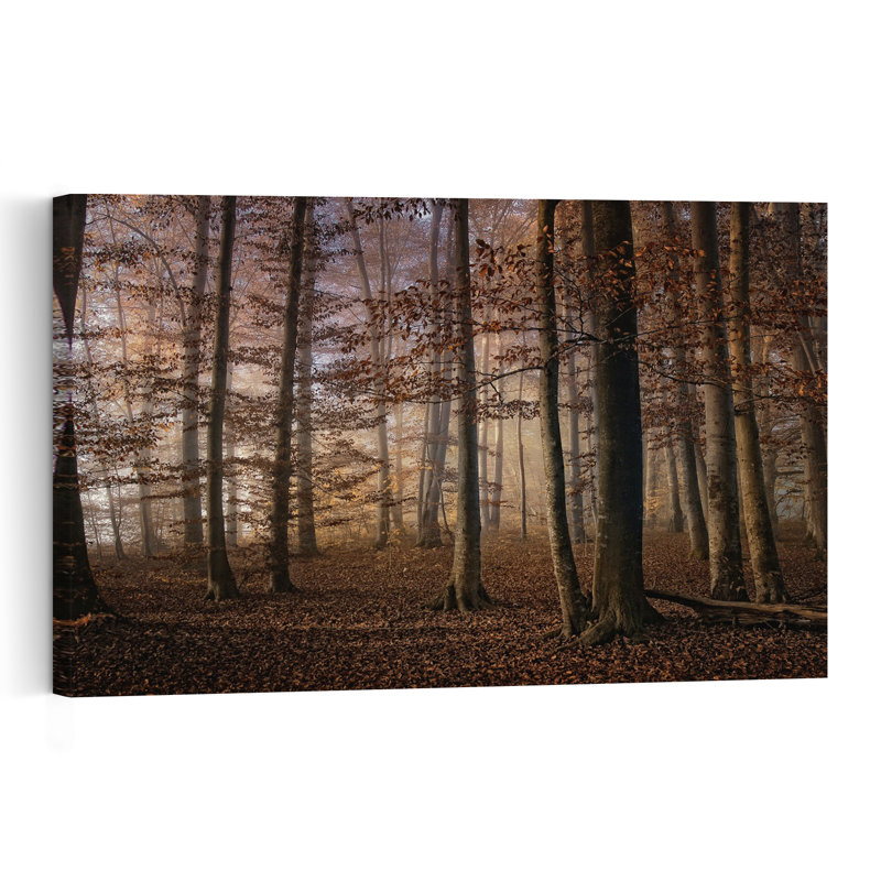 Forêt d'automne brumeuse, tableau mural rustique et paisible représentant une forêt d'automne brumeuse, H 40 po x l 60 po