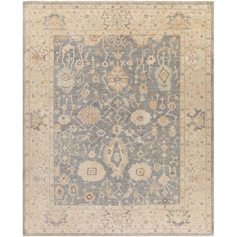 Daucourt Wool Oriental Area Rug
