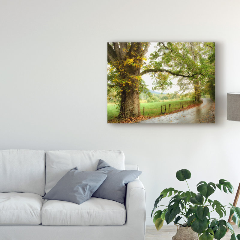 «Wet Path» par Danny Head - reproduction de photo sur toile, H 35 po x l 47 po x P 2 po