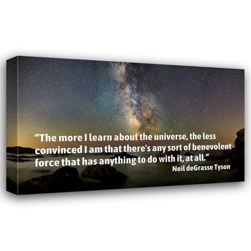 Art sur toile tendue Triny ArtsyQuotes, "Neil deGrasse", citation de Tyson: The More I Learn, H 26 po x l 40 po