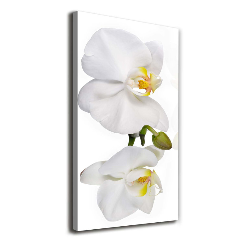 White Orchid - Wrapped Canvas Print