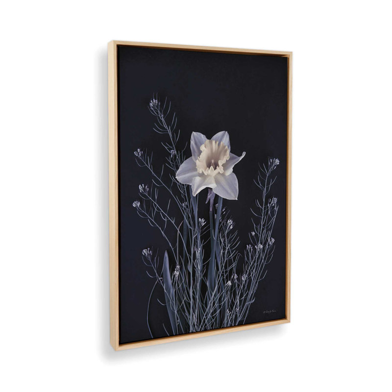 «Spring Gathering IV» par Robin-Lee Vieira, reproduction d'art, 24 W x 36 H, Tan, Framed Canvas