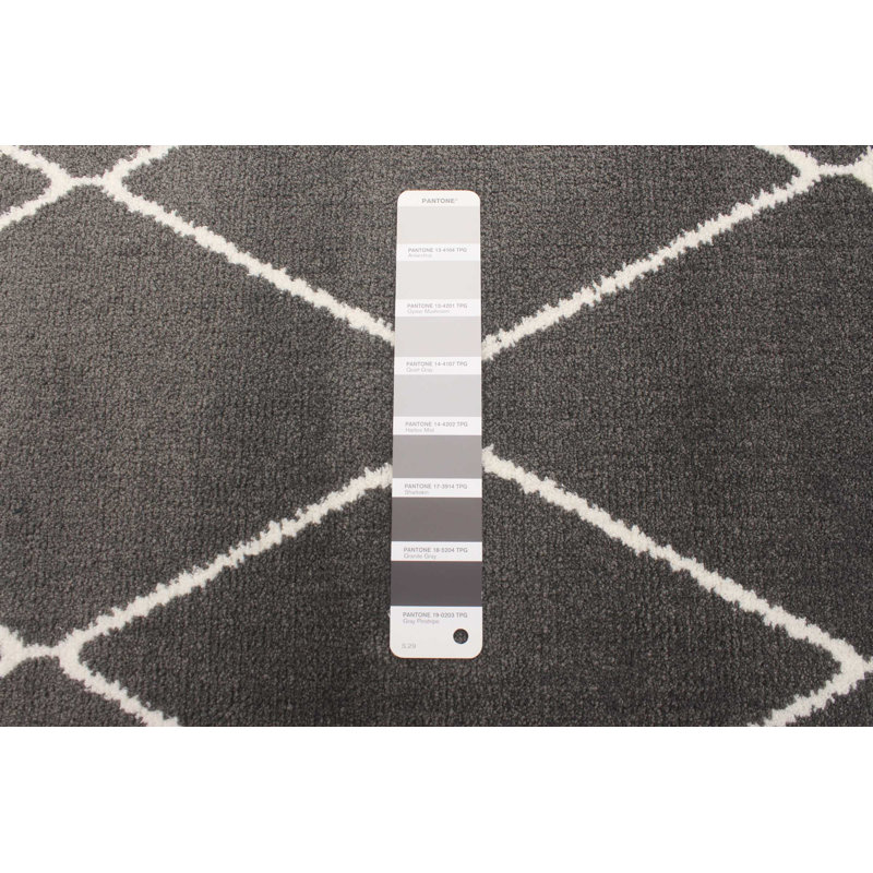 Tapis beige / brun Esliabeth, Rectangle 5 pi 3 po x 7 pi 3 po