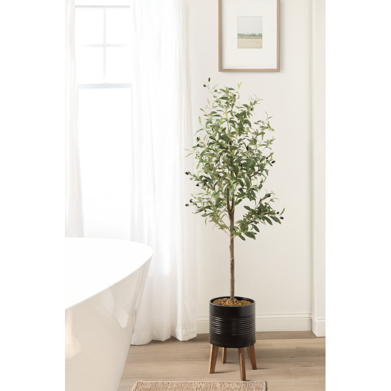 Oliveira Oliveira avec pot de fleurs en bois et métal Gavri, H 59,06 po x l 21,65 po, Noir
