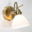 Natural Plug-in Outdoor Barn Light