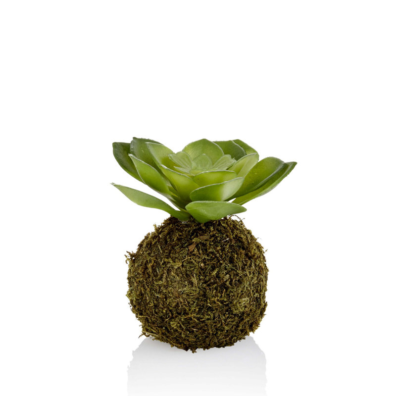 Plante grasse artificielle de 9 cm