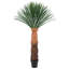 Arbre de Dracaena agave artificiel 6 pi-45911971