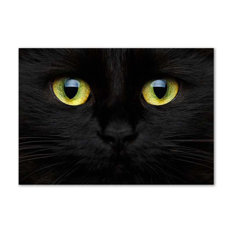 Cat'S Eyes - Wrapped Canvas Print