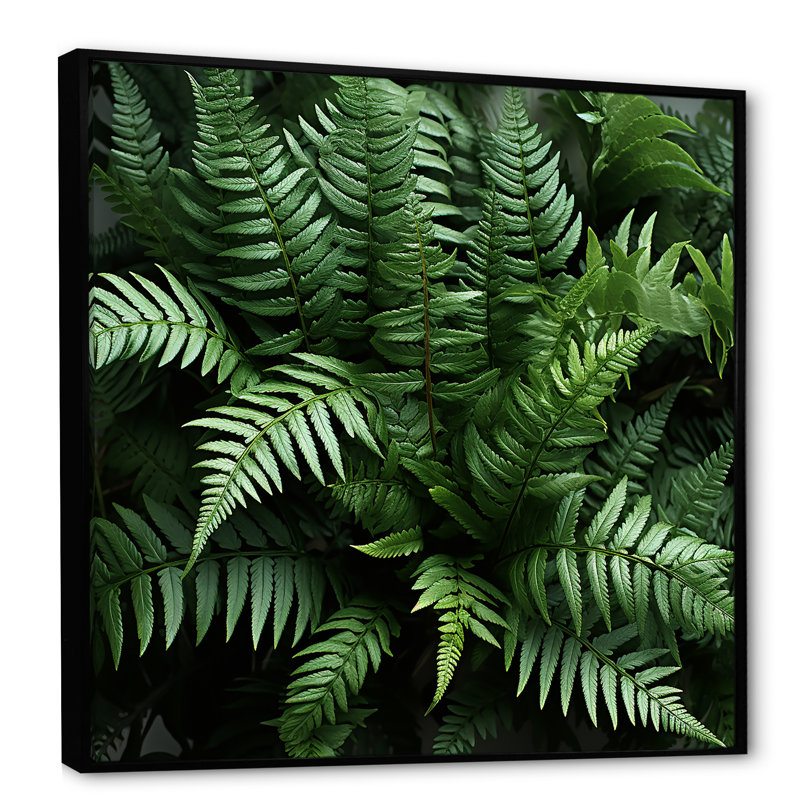 Vert fougère émeraude - forêt III, Cadre flottant noir, H 36 po x l 36 po