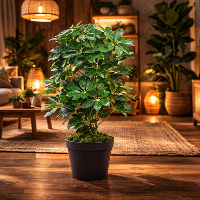 55cm Faux Plant in Pot Liner