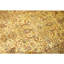 Hand Knotted Wool Area Rug in Cream And Gold