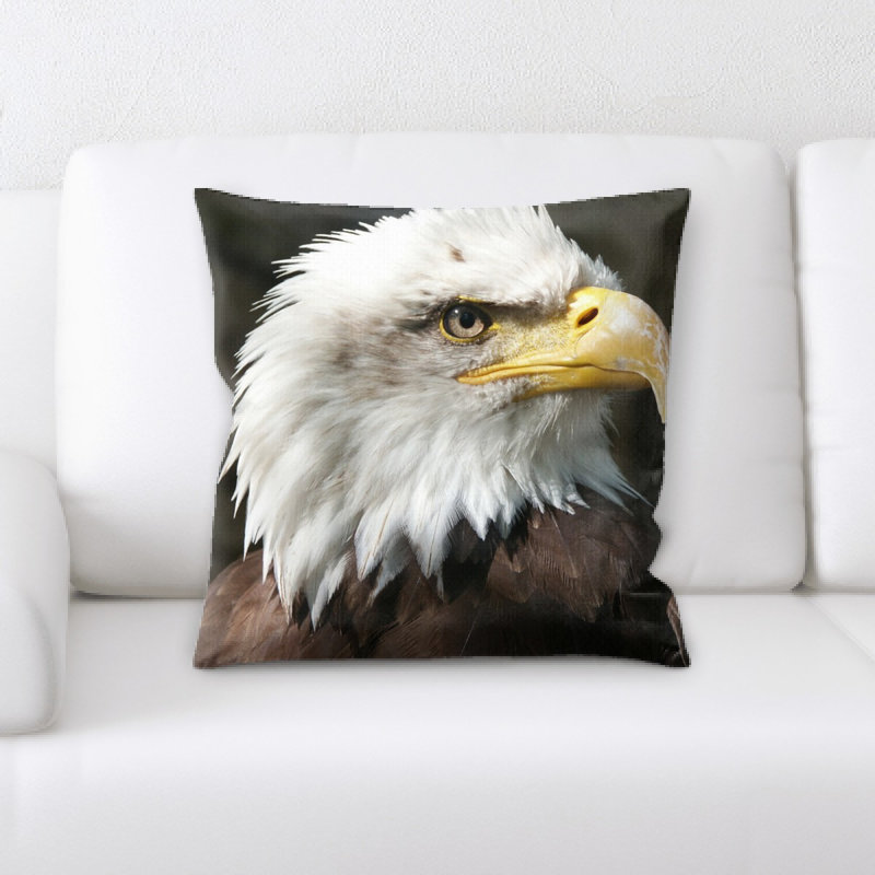 Coussin chauve eagle