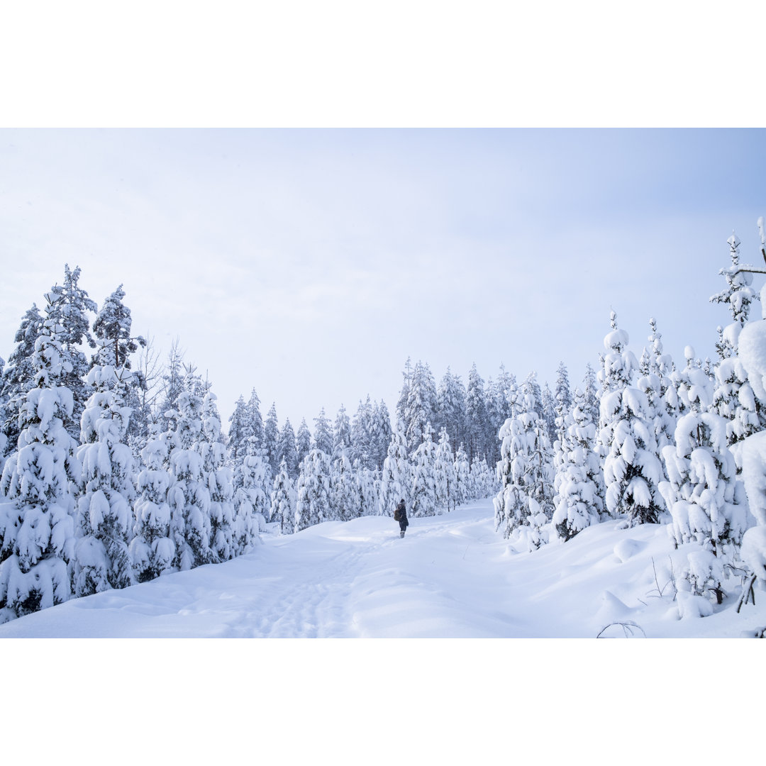 Verschneiter Wald Trip in Finnland von AarreRinne - Leinwanddrucke