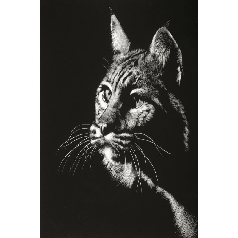 Black Glimpse II by Julie T. Chapman - Wrapped Canvas Print, 76cm H x 51cm W
