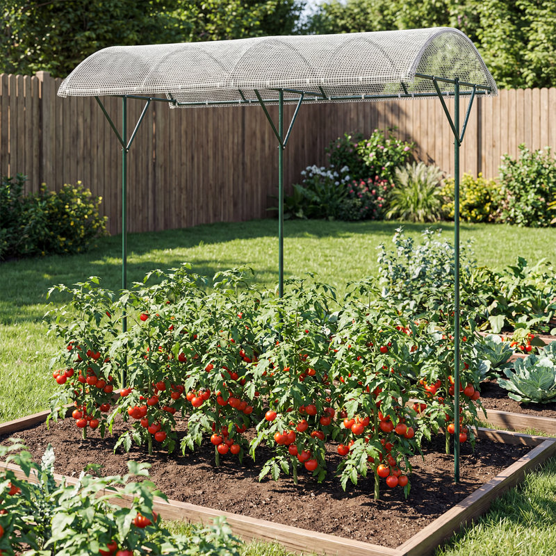 246cm H x 197cm W Metal Arched Trellis