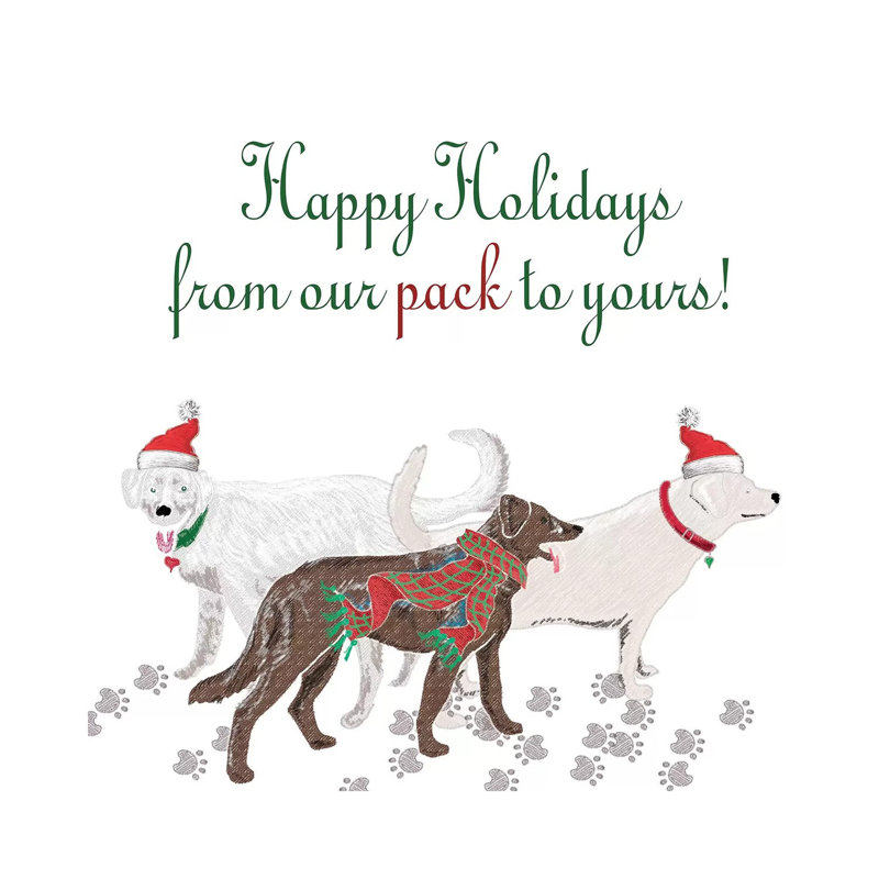 Woof Holiday Pack I by Andi Metz - Wrapped Canvas Gallery-Wrapped Canvas Giclée, 45.72 cm H x 45.72 cm W x 1.91 cm D